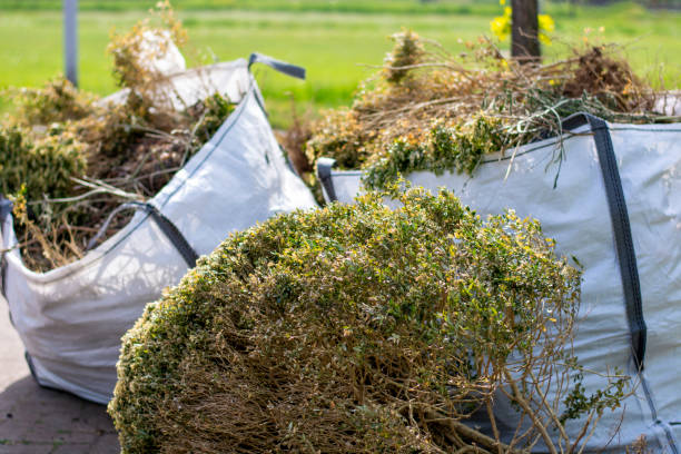 Best Furniture Removal Near Me  in Summit Park, UT